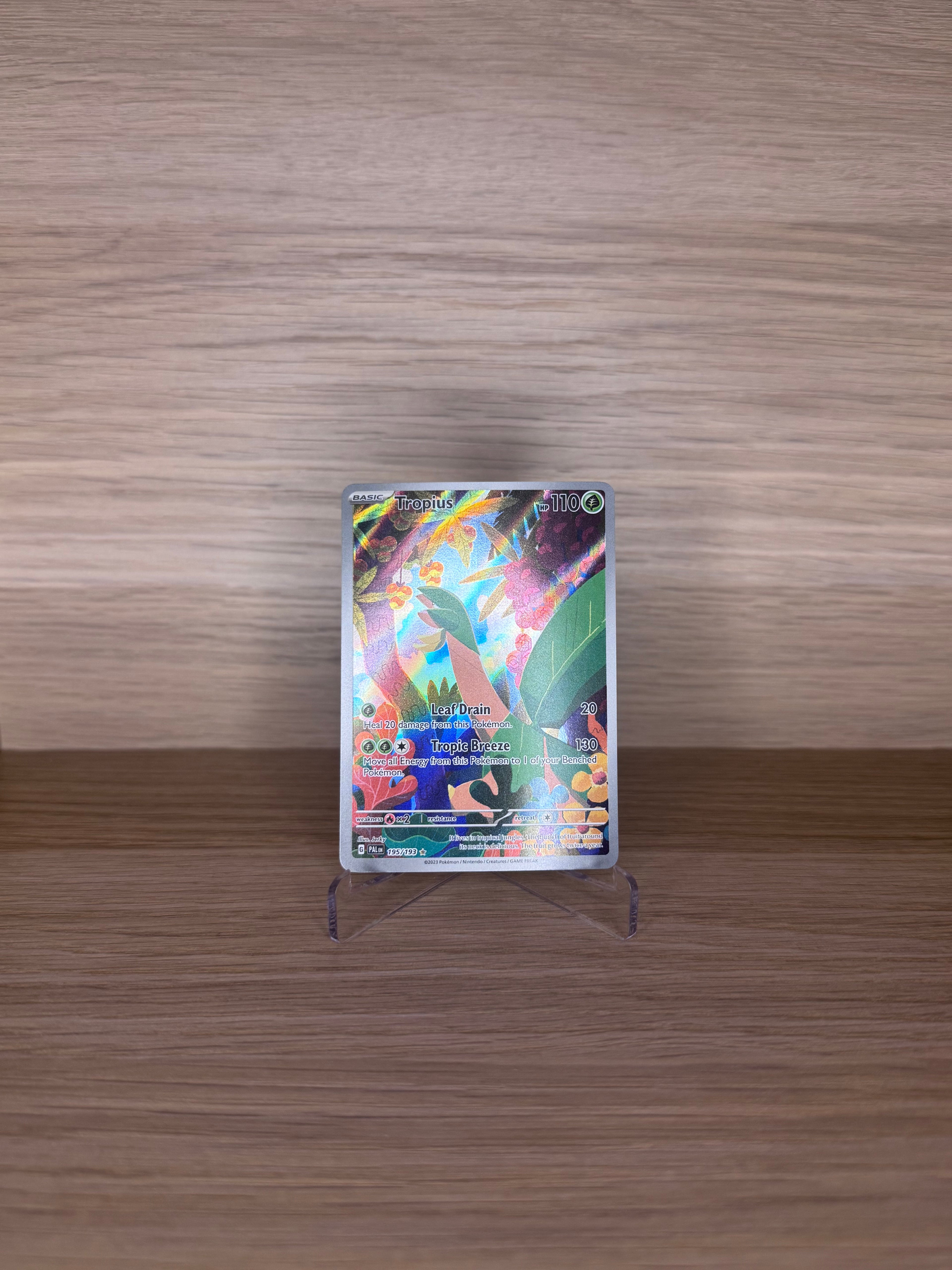 2023 Paldea Evolved Tropius Illustration Rare #195 - NM